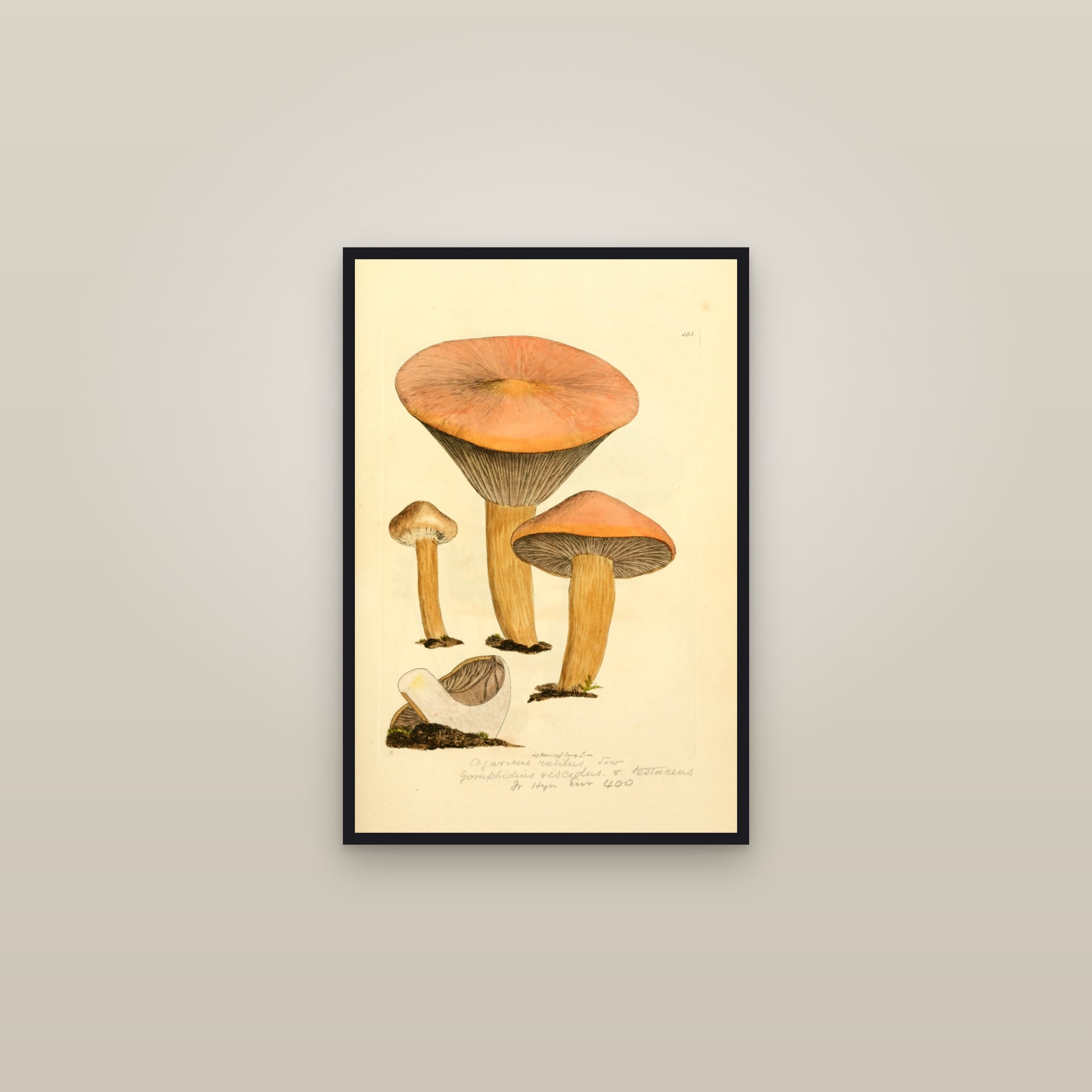 Copper Spike
