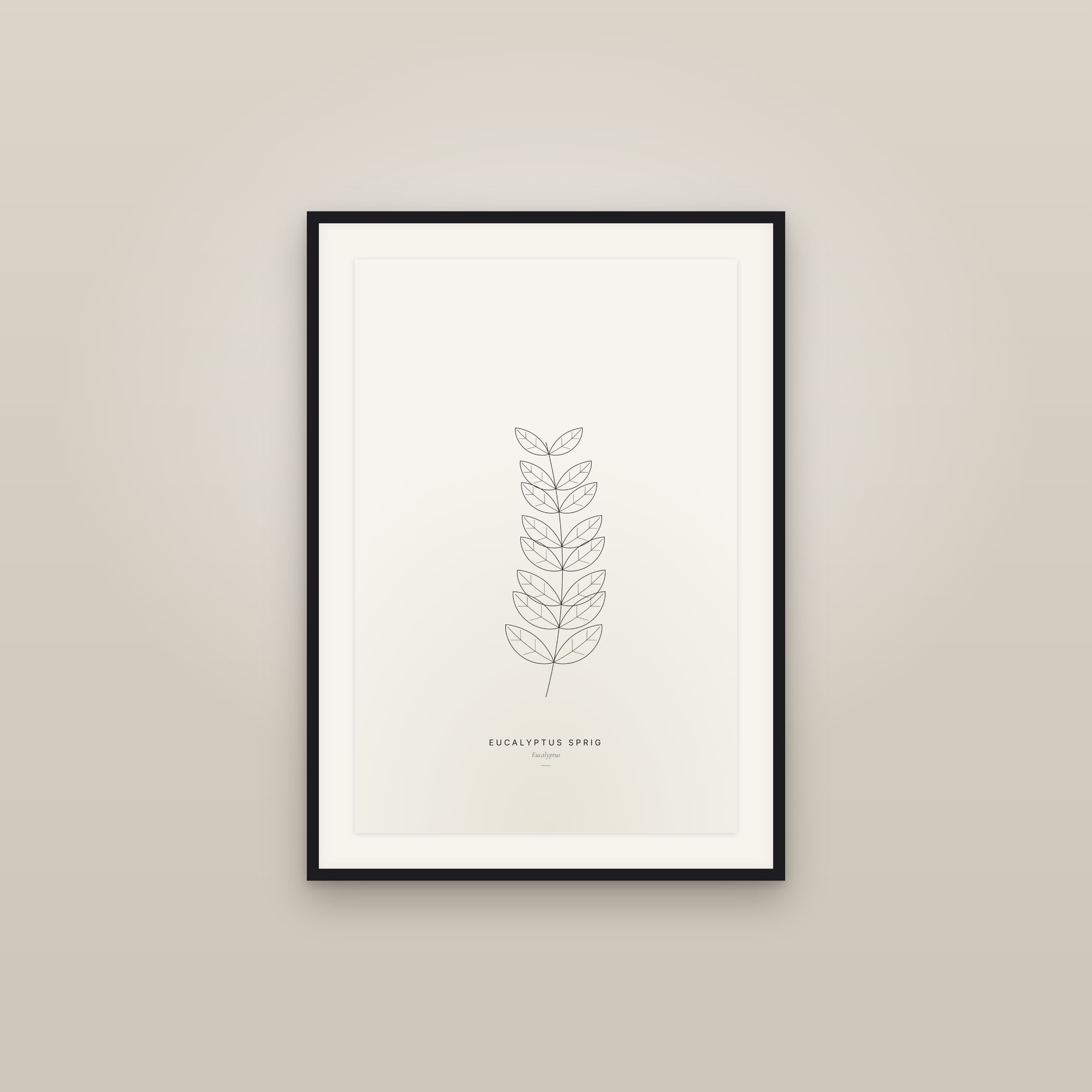 Eucalyptus Sprig — Line Study