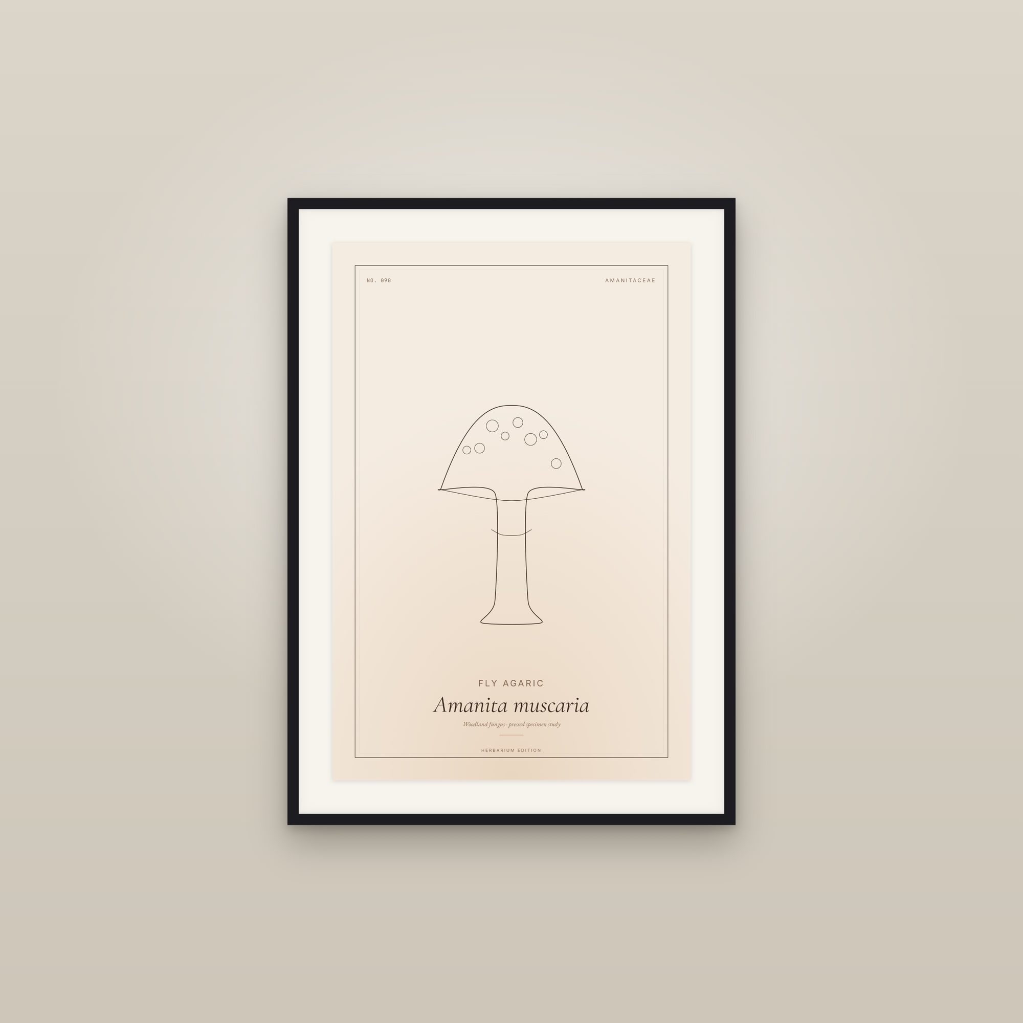 Fly Agaric — Botanical Specimen
