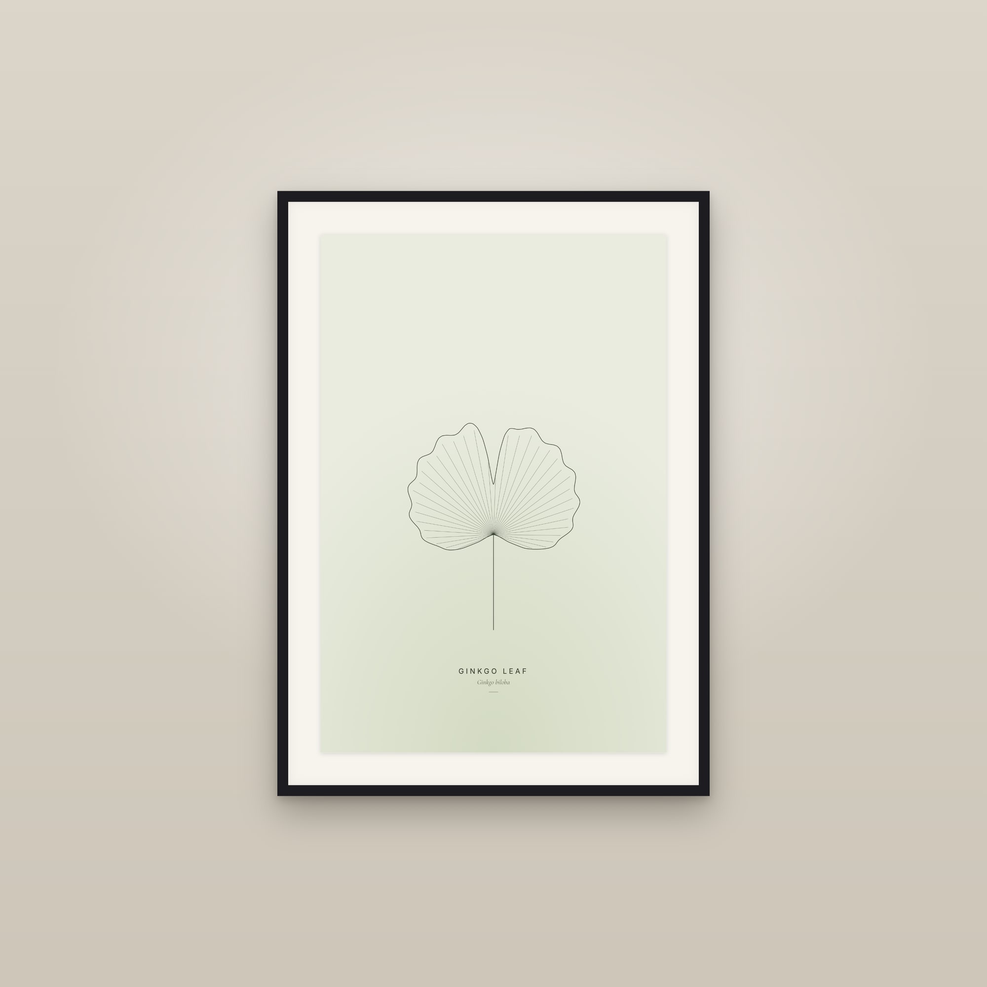 Ginkgo Leaf — Line Study