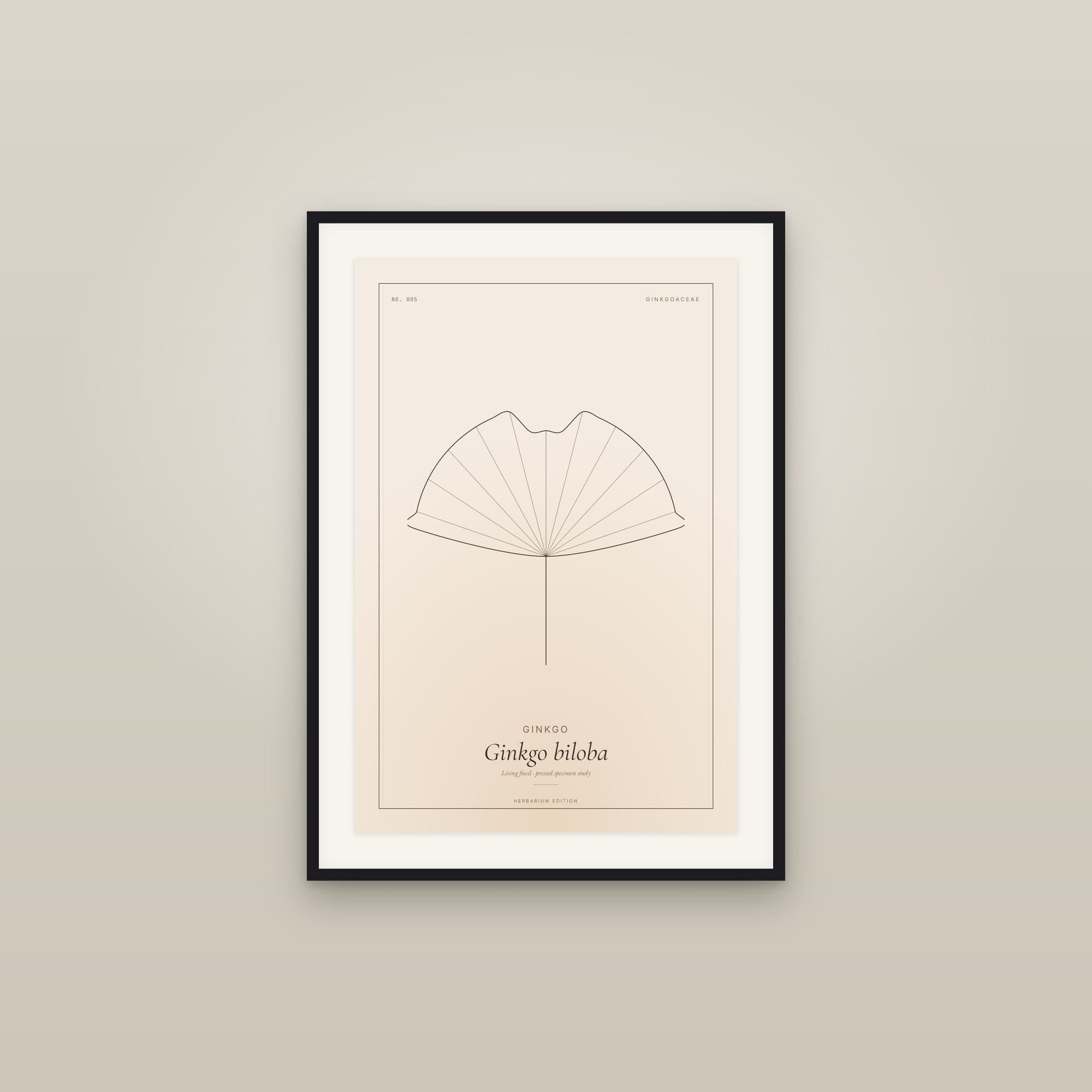 Ginkgo — Botanical Specimen