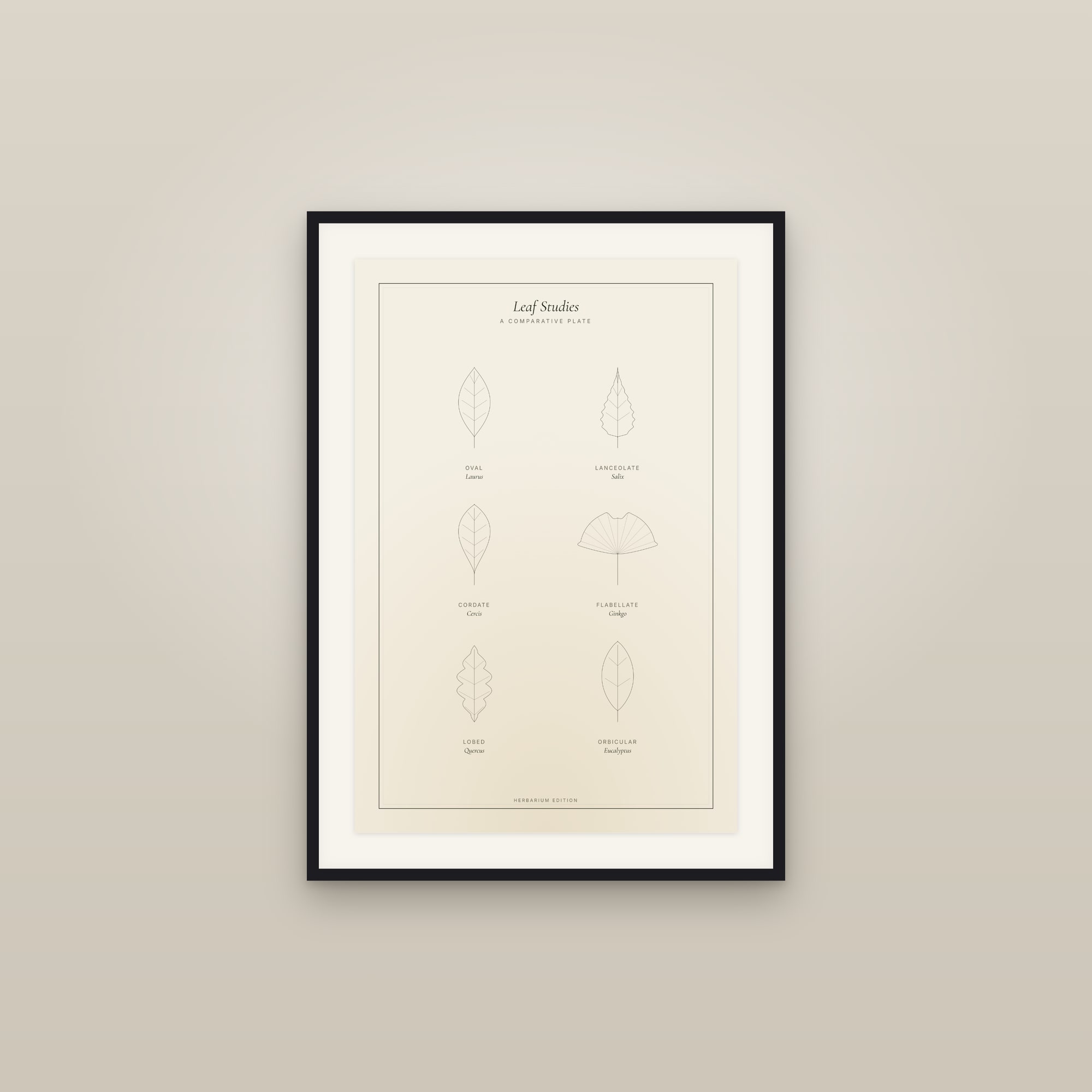 Gallery sets