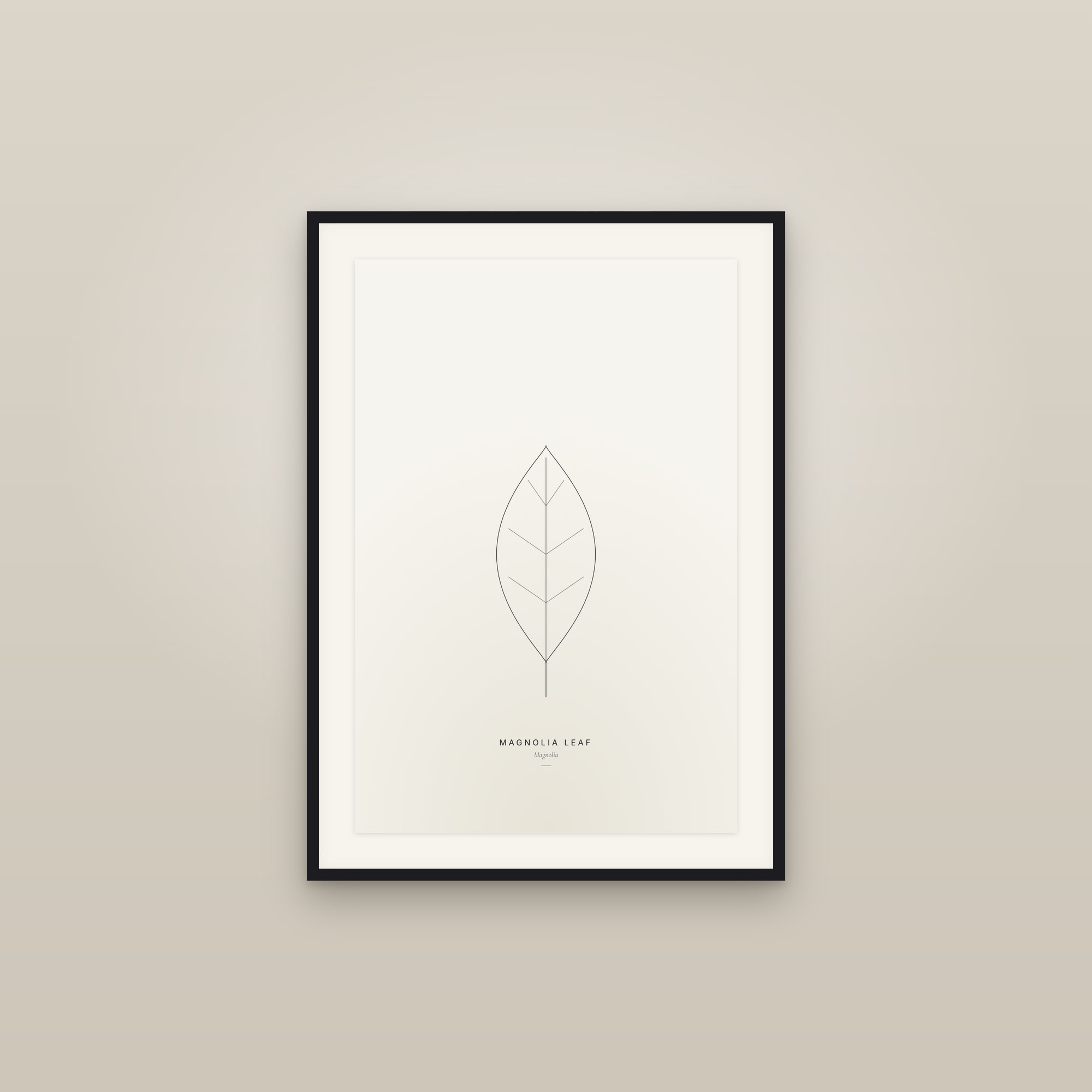 Magnolia Leaf — Line Study