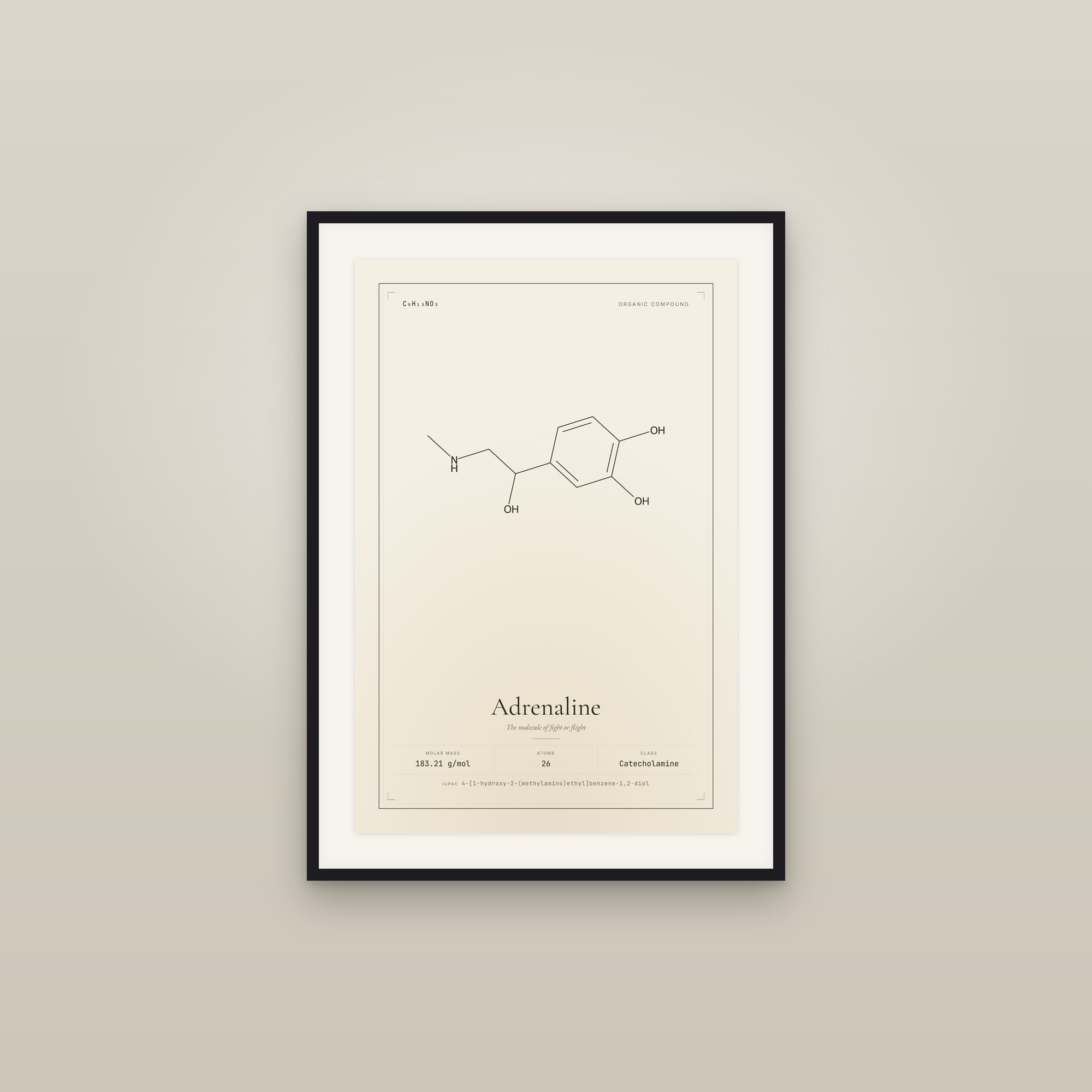 Adrenaline — Molecular Structure
