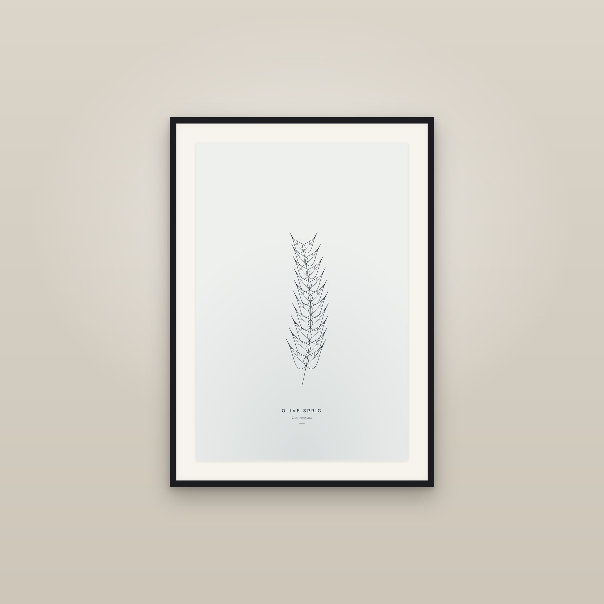 Olive Sprig — Line Study