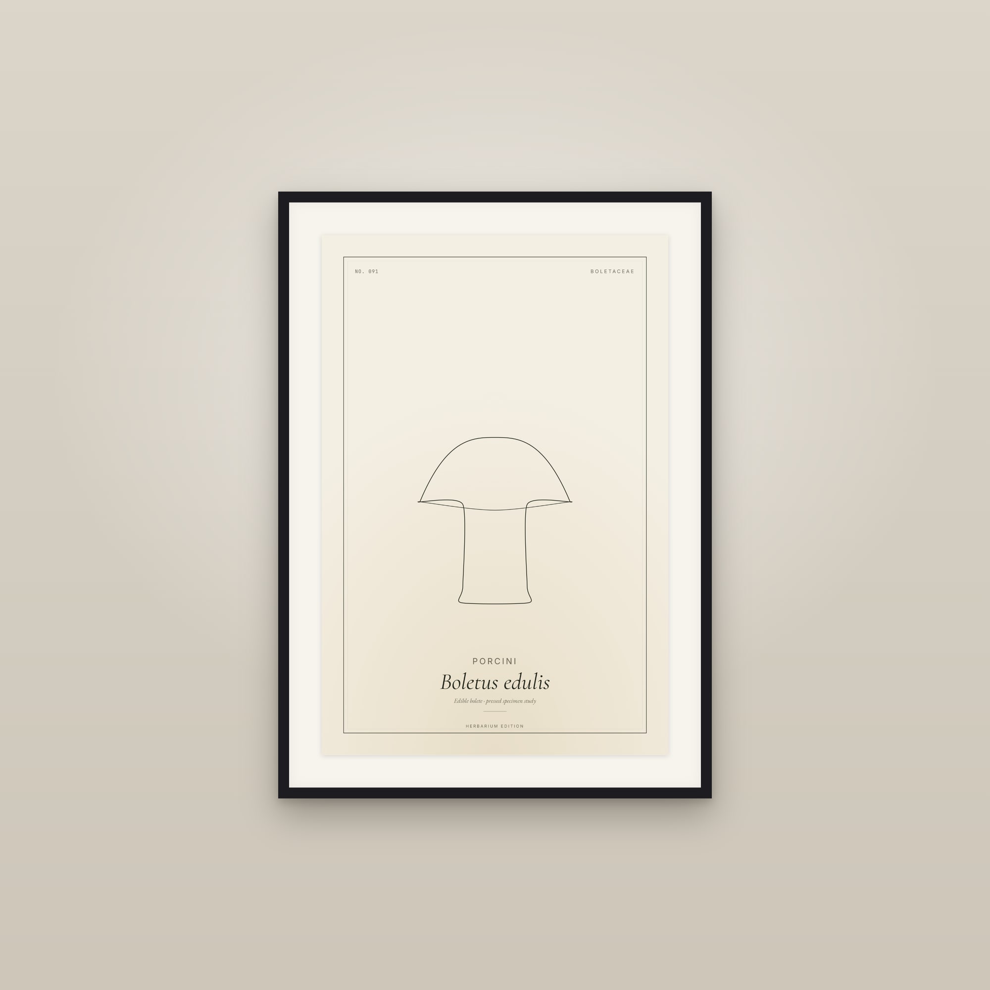 Porcini — Botanical Specimen