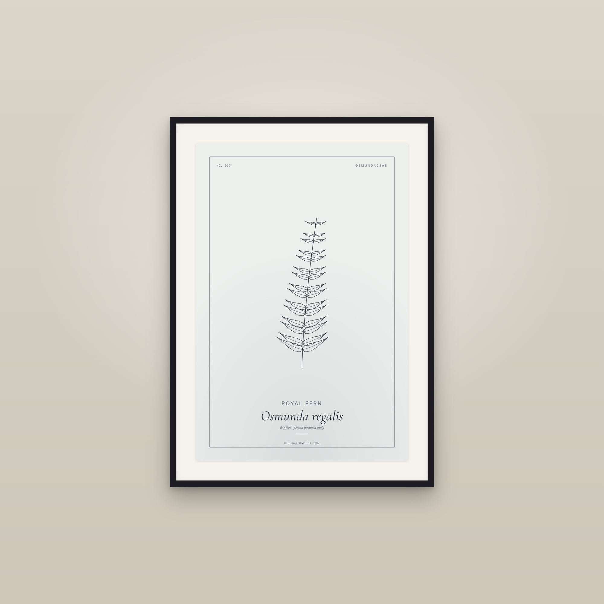 Royal Fern — Botanical Specimen