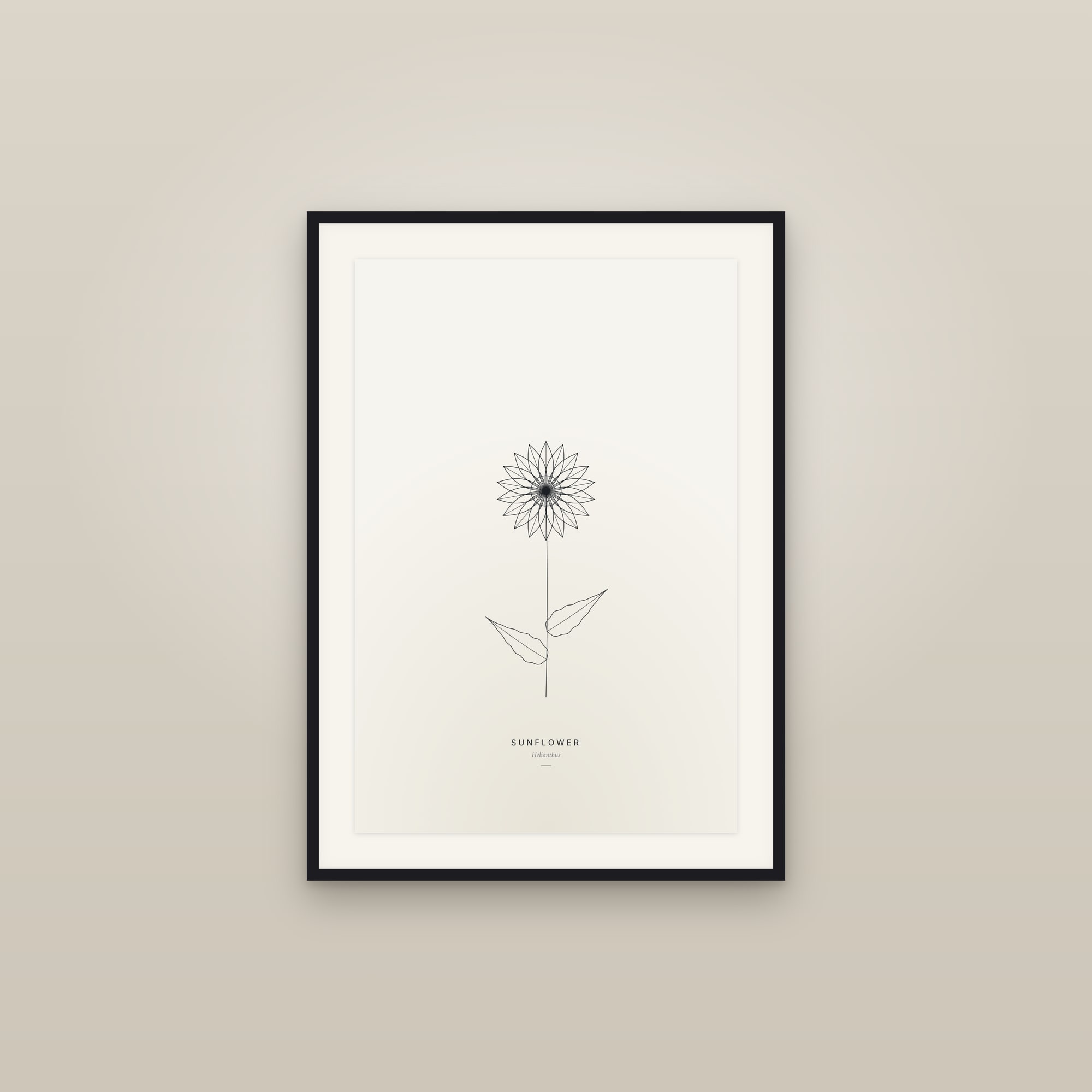 Sunflower — Line Study