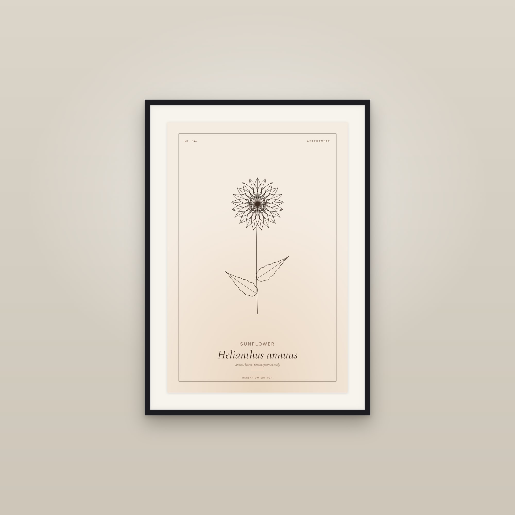 Sunflower — Botanical Specimen