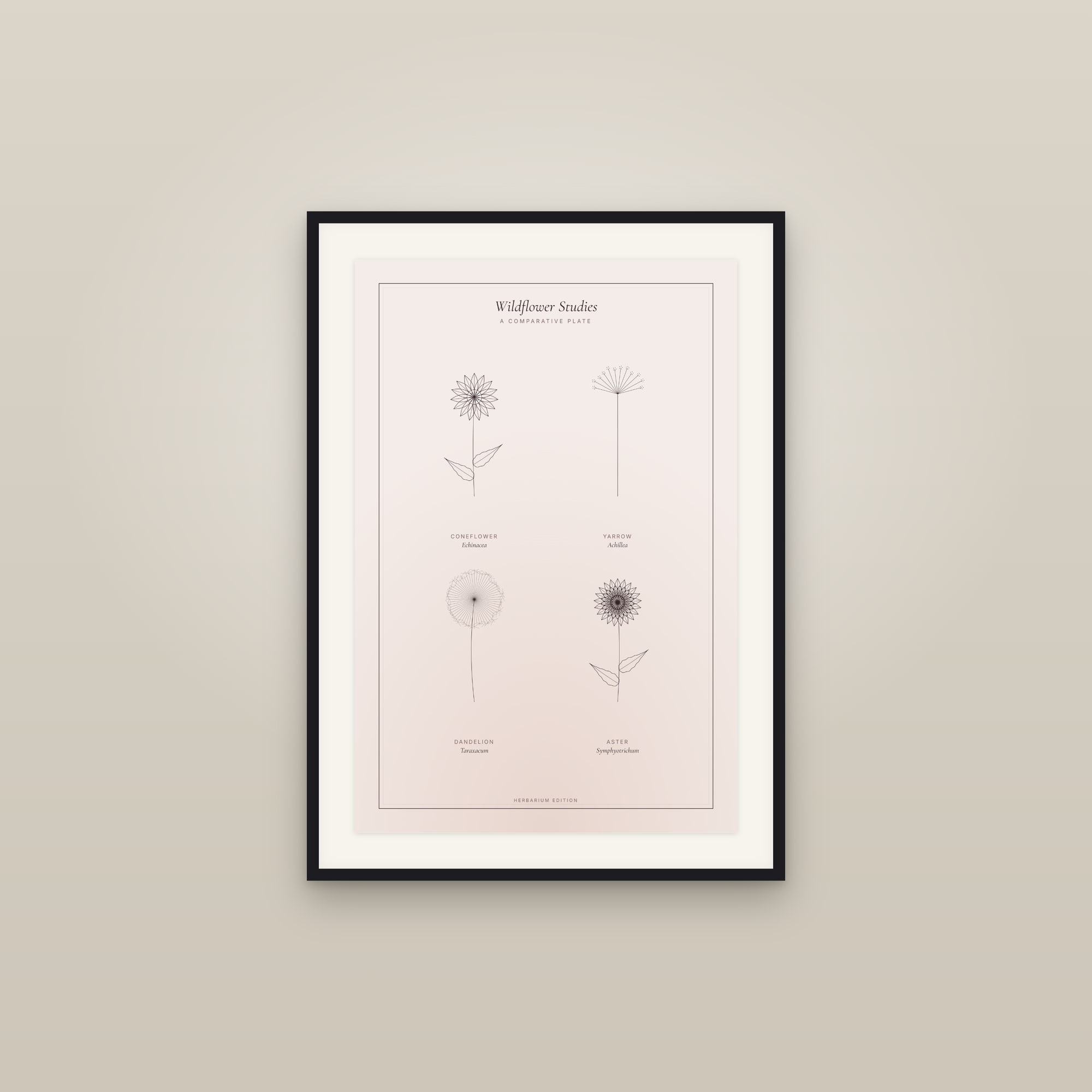 Wildflower Studies — Botanical Plate